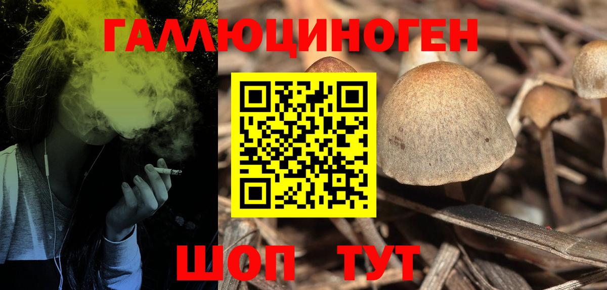 Псилоцибиновые грибы Magic Shrooms Баксан