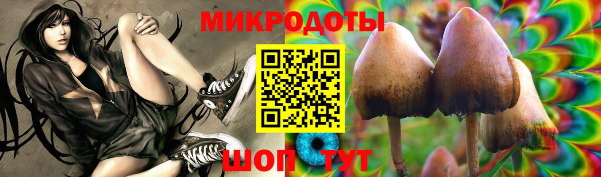 Псилоцибиновые грибы Cubensis  Вход с VPN  где продают наркотики  Баксан  Псилоцибиновые грибы Psilocybine cubensis 